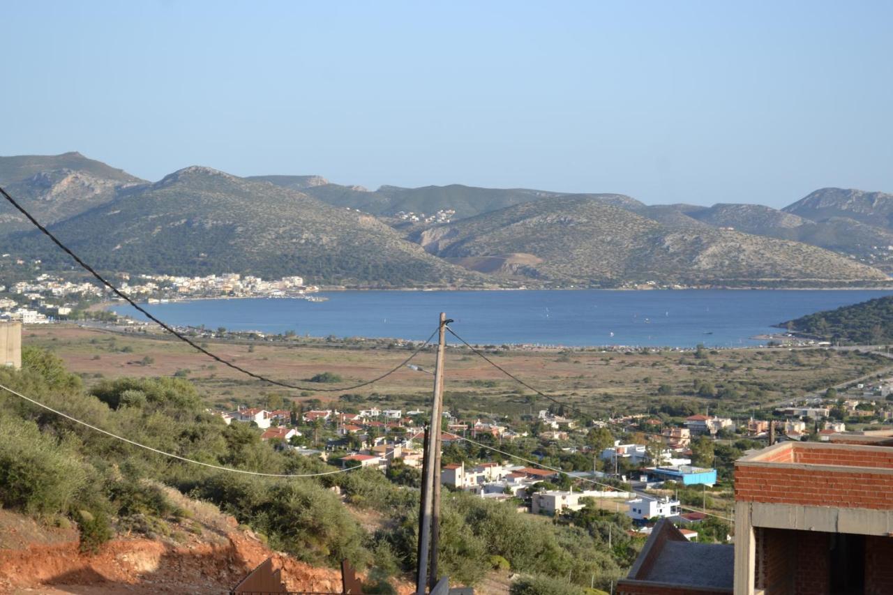 "Stergiou Luxury Apartments" Με Κοινη Πισινα Saronida Eksteriør bilde